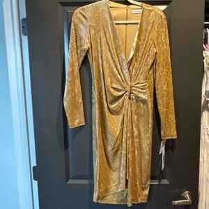 NWT Calvin Klein Gold Velvet Long Sleeve Dress